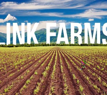 Link Farm